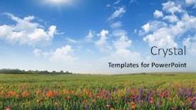  Presentation with poppies - Slide deck featuring early morning a field of poppies with backlit by sunlight background and a light blue colored foreground