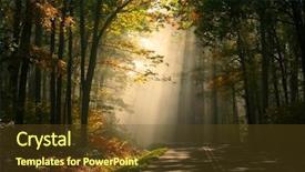  Presentation with forest morning - Beautiful theme featuring early morning scene in allegheny backdrop and a tawny brown colored foreground