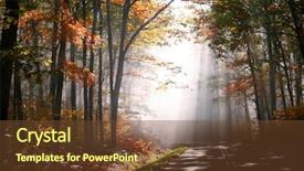  Presentation with forest morning - PPT theme with early morning scene in allegheny background and a tawny brown colored foreground