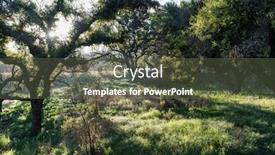  Presentation with oak tree - Presentation theme having early-morning-view-of-native background and a tawny brown colored foreground