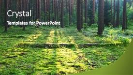  Presentation with forest morning - Presentation theme consisting of early morning with sunrise in pine forest background and a dark gray colored foreground