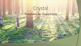  Presentation with forest morning - Audience pleasing presentation consisting of early morning with sunrise in pine forest backdrop and a cream colored foreground
