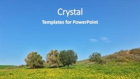  Presentation with israel - Slide set with early spring in fields in southern israel soft green grass blooming daisies and clear air background and a teal colored foreground