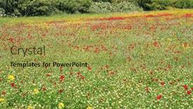  Presentation with israel - Theme enhanced with early-spring-in-israel-first background and a  colored foreground