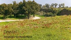  Presentation with forest road green - Presentation theme with early-spring-in-israel-kibbutz background and a gold colored foreground