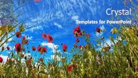  Presentation with rural tourism - Audience pleasing PPT layouts consisting of early-spring-in-israel-magnificent backdrop and a teal colored foreground