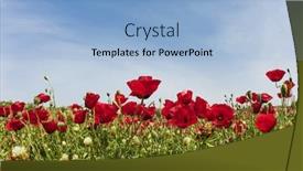  Presentation with rural tourism concept - Colorful theme enhanced with early-spring-in-israel backdrop and a light blue colored foreground