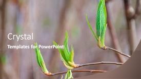  Presentation with vancouver - 