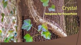  Presentation with vancouver - 