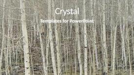  Presentation with fine food and wine spring - Cool new presentation theme with early spring rocky mountains colorado backdrop and a gray colored foreground