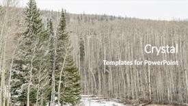  Presentation with fine food and wine spring - Presentation design featuring early spring rocky mountains colorado background and a gray colored foreground