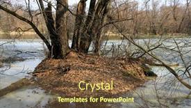  Presentation with scene - Audience pleasing slide deck consisting of early-spring-scene-with-trees backdrop and a tawny brown colored foreground