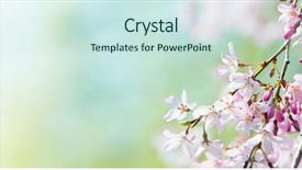  Presentation with cherry blossom - PPT theme with early spring soft pastel green background and a sky blue colored foreground