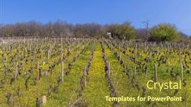  Presentation with vineyards - Presentation design featuring early-spring-vineyards-near-aloxe background and a tawny brown colored foreground