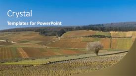  Presentation with vineyards - Slide deck enhanced with early-spring-vineyards-near-aloxe background and a teal colored foreground