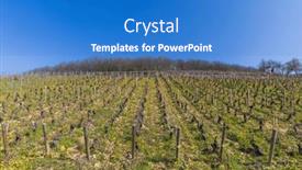  Presentation with vineyards - Presentation having early-spring-vineyards-near-aloxe background and a teal colored foreground