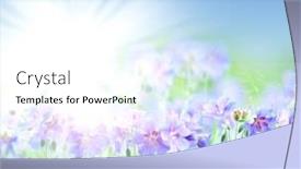  Presentation with geranium - Cool new presentation theme with personality - shawls with musical notes hanging backdrop and a mint green colored foreground