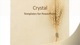  Presentation with parchment - Presentation design enhanced with gift wrapping is standing on a frosted glass among the christmas tree branches background and a light gray colored foreground