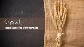  Presentation with textile - Cool new slide set with ears-of-grain-golden-ears backdrop and a tawny brown colored foreground