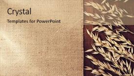  Presentation with oat - Presentation theme enhanced with ears of oat on wooden background and a coral colored foreground