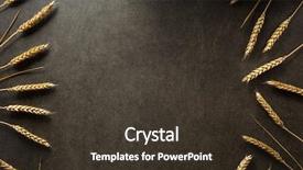  Presentation with ears - Cool new theme with ears of wheat on black backdrop and a tawny brown colored foreground