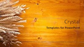  Presentation with ears - Slide deck consisting of ears of wheat on old wooden table background and a gold colored foreground