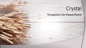  Presentation with ears - Slide deck with ears of wheat on old wooden table background and a light gray colored foreground