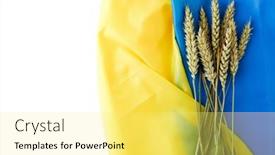  Presentation with ears - Presentation design enhanced with ears-of-wheat-on-ukrainian background and a yellow colored foreground