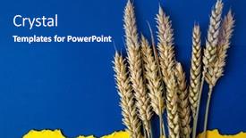  Presentation with blue yellow - Presentation design consisting of ears-of-wheat-on-ukrainian background and a ocean colored foreground