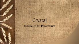  Presentation with ears - Amazing presentation having ears of wheat on wooden backdrop and a coral colored foreground