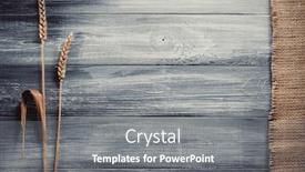  Presentation with ears - Amazing slide set having ears of wheat on wooden background backdrop and a gray colored foreground