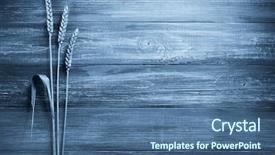  Presentation with ears - Amazing slide set having ears of wheat on wooden backdrop and a ocean colored foreground
