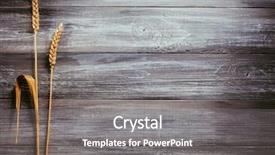  Presentation with rustic wood wooden frame - Amazing slides having ears of wheat on wooden backdrop and a gray colored foreground
