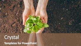  Presentation with generation - PPT theme with earth - concept of generation and development background and a tawny brown colored foreground