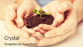  Presentation with green earth - PPT layouts enhanced with earth - picture of couple hands background and a lemonade colored foreground