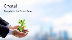  Presentation with sprout - Colorful theme enhanced with soil clean up - close up image of human backdrop and a sky blue colored foreground