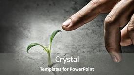  Presentation with life - Amazing PPT theme having green concept - creating new life backdrop and a  colored foreground