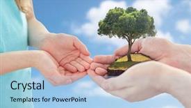  Presentation with family tree - Theme having earth day environment people charity background and a light blue colored foreground