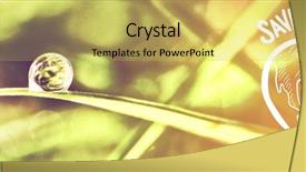  Presentation with earth day - PPT theme enhanced with earth day graphic against dew background and a yellow colored foreground