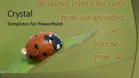  Presentation with quote - Colorful slide deck enhanced with earth from our ancestor backdrop and a gold colored foreground