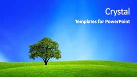  Presentation with oak tree - Amazing presentation theme having earth horizon sun - oak tree in nature backdrop and a  colored foreground