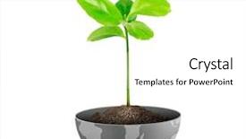  Presentation with transparent earth - PPT layouts with earth isolated on white background and a white colored foreground