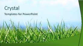  Presentation with green grass under the snow - Colorful slide deck enhanced with earth land - green grass under blue sky backdrop and a  colored foreground