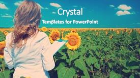 Presentation with agronomist - Theme featuring report observations - agronomist with folder in sunflowers background and a teal colored foreground