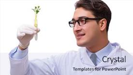  Presentation with seedling - Audience pleasing slide deck consisting of biology earth - scientist with green seedling backdrop and a sky blue colored foreground