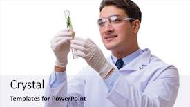  Presentation with seedling - Presentation theme having biology earth - scientist with green seedling background and a light blue colored foreground