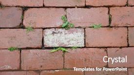  Presentation with plants growing - Presentation theme with earth structure - red brick walkway with grass background and a coral colored foreground