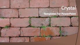  Presentation with plants growing - Theme with earth structure - red brick walkway with grass background and a coral colored foreground