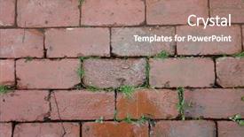  Presentation with plants growing - Audience pleasing theme consisting of earth structure - red brick walkway with grass backdrop and a coral colored foreground
