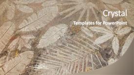  Presentation with stepping stone illustration of step - Presentation design consisting of earth tones - leaf impression in stone background and a coral colored foreground